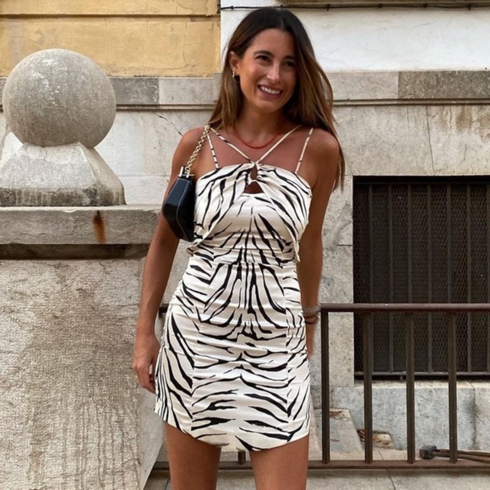 ZARA Zebra print / Animal Print satin mini dress XS